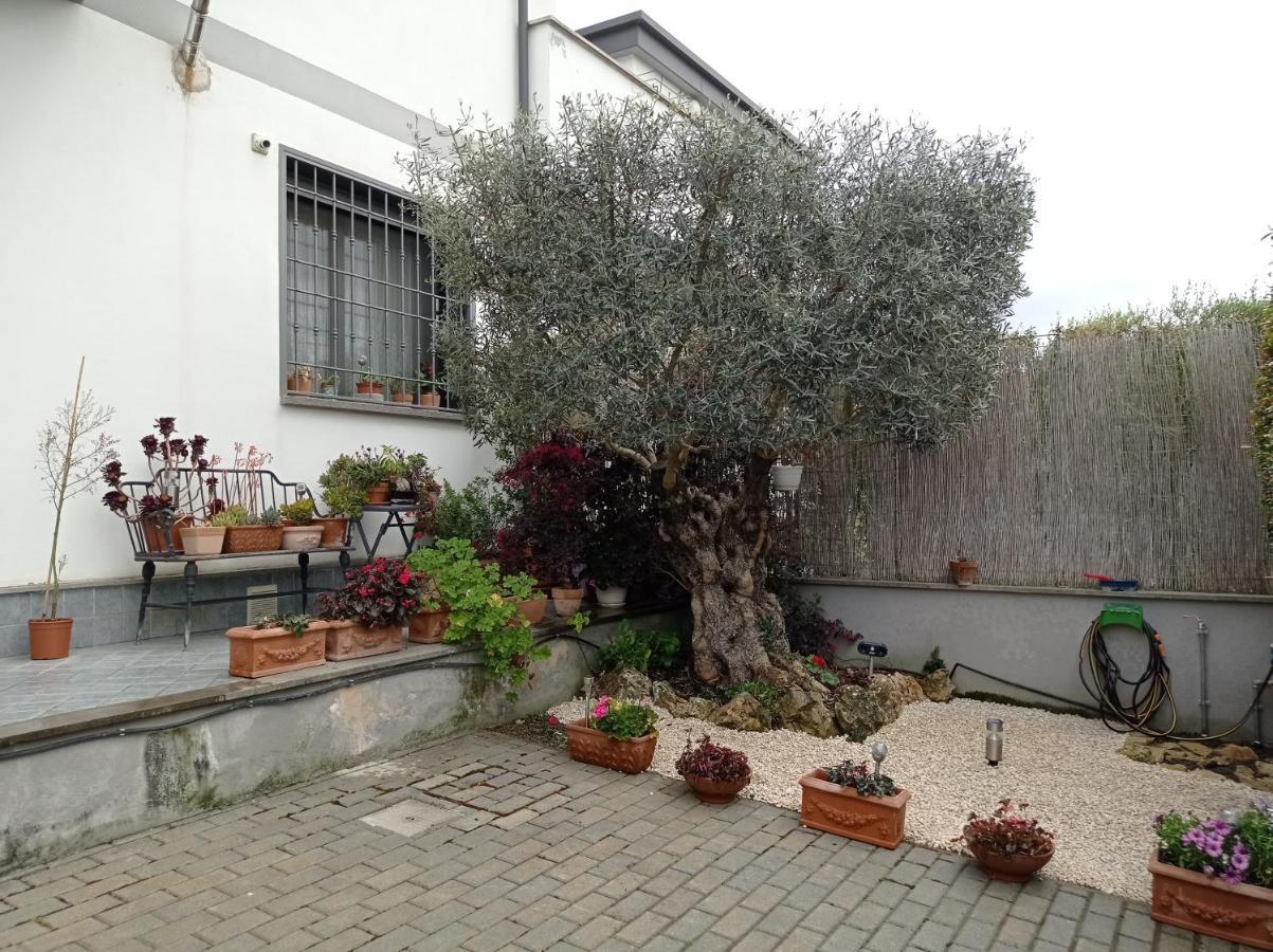 Villa Sogno Castel Fusano Екстер'єр фото