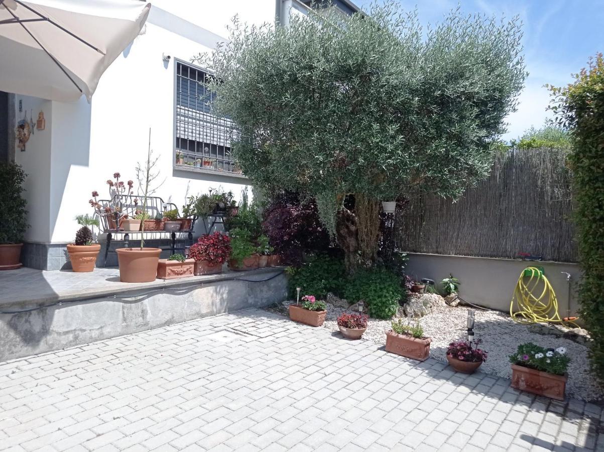Villa Sogno Castel Fusano Екстер'єр фото